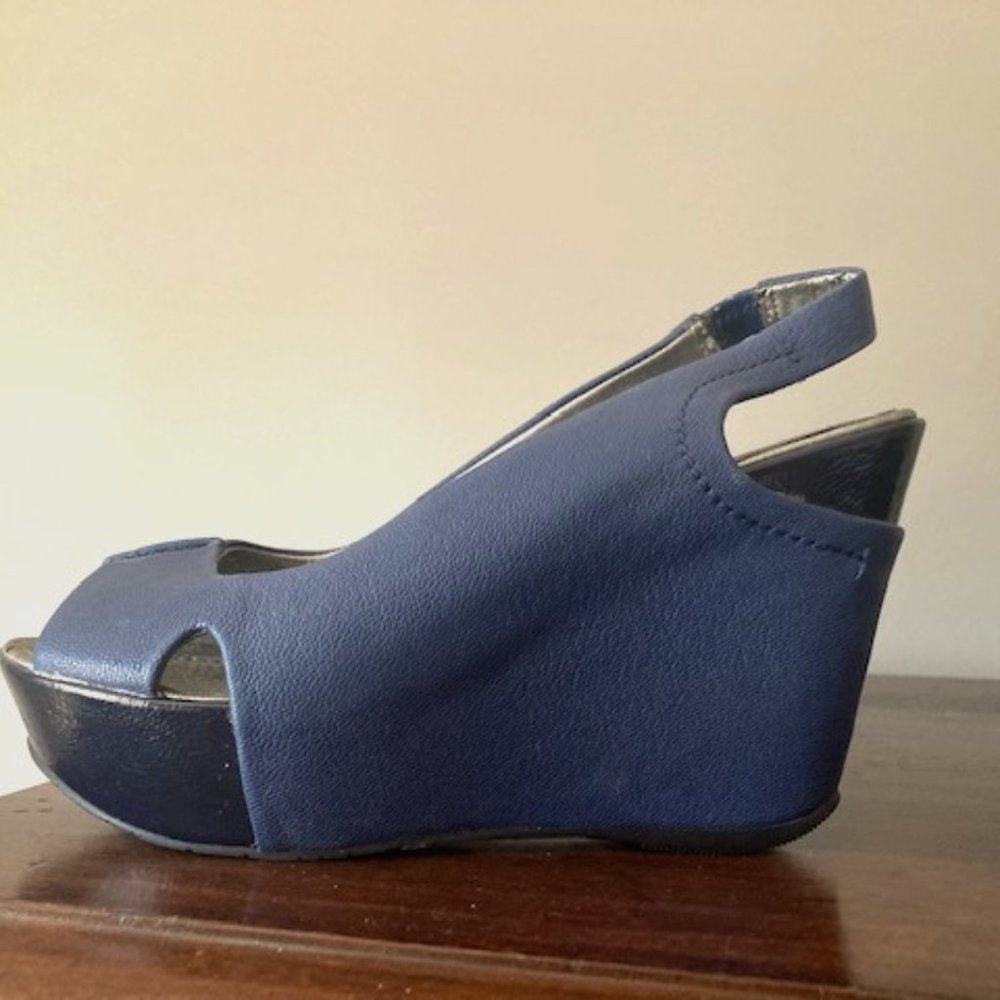 Kenneth Cole Navy Blue Wedges
